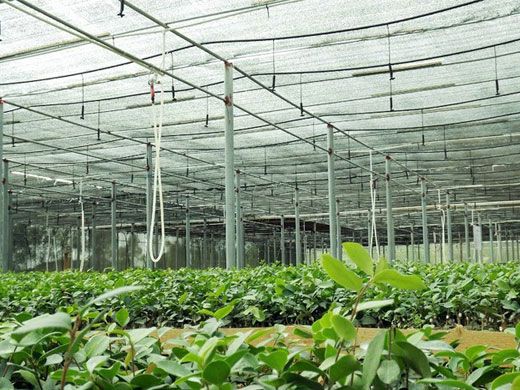 怎樣解決微滴灌的褶皺現(xiàn)象？